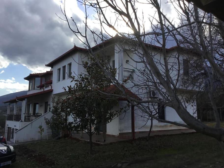 Villa_Kleio Litochoro Exterior foto